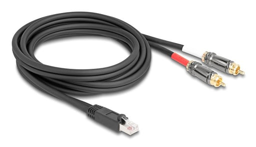 EAN 4043619881710 - DeLOCK 88171 cable de audio 2 m RJ-45 2 x RCA Negro imagen 1