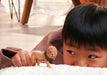 EAN 4069111444031 - schleich Vida Salvaje 014974 figura de juguete para niños imagen 2