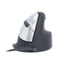 EAN 8719274490463 - R-Go Tools RGOHELA ratón mano derecha USB tipo A Óptico 2400 DPI imagen 2