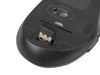 EAN 5901969420173 - NATEC Stingray teclado Ratón incluido Universal RF inalámbrico QWERTY Inglés de EE. UU. Negro imagen 9