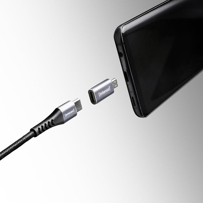 EAN 4034303038121 - Intenso 7600213 cambiador de género para cable Antracita imagen 5