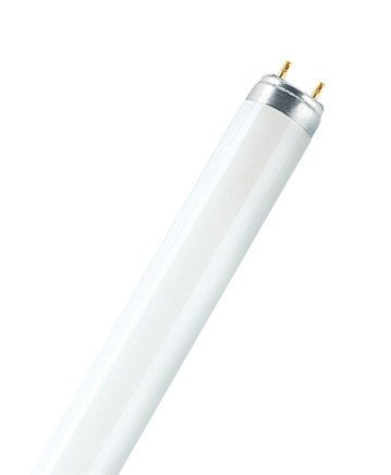 EAN 4050300325613 - Osram LUMILUX T8 lámpara fluorescente 15 W G13 Blanco cálido imagen 1