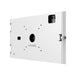 EAN 0810157341242 - Compulocks 11PAPX4W soporte de seguridad para tabletas Blanco 27,9 cm (11") imagen 2