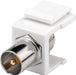 EAN 4040849799556 - Goobay 79955 módulo de conector de red imagen 1