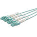 EAN 65030879019 - StarTech.com MPO8LCPL2M Cable de fibra óptica e InfiniBand 2 m MPO/MTP 8x LC Color aguamarina imagen 2