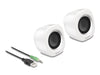 EAN 4043619270088 - DeLOCK 27008 altavoz Plata, Blanco Alámbrico 2 W imagen 1