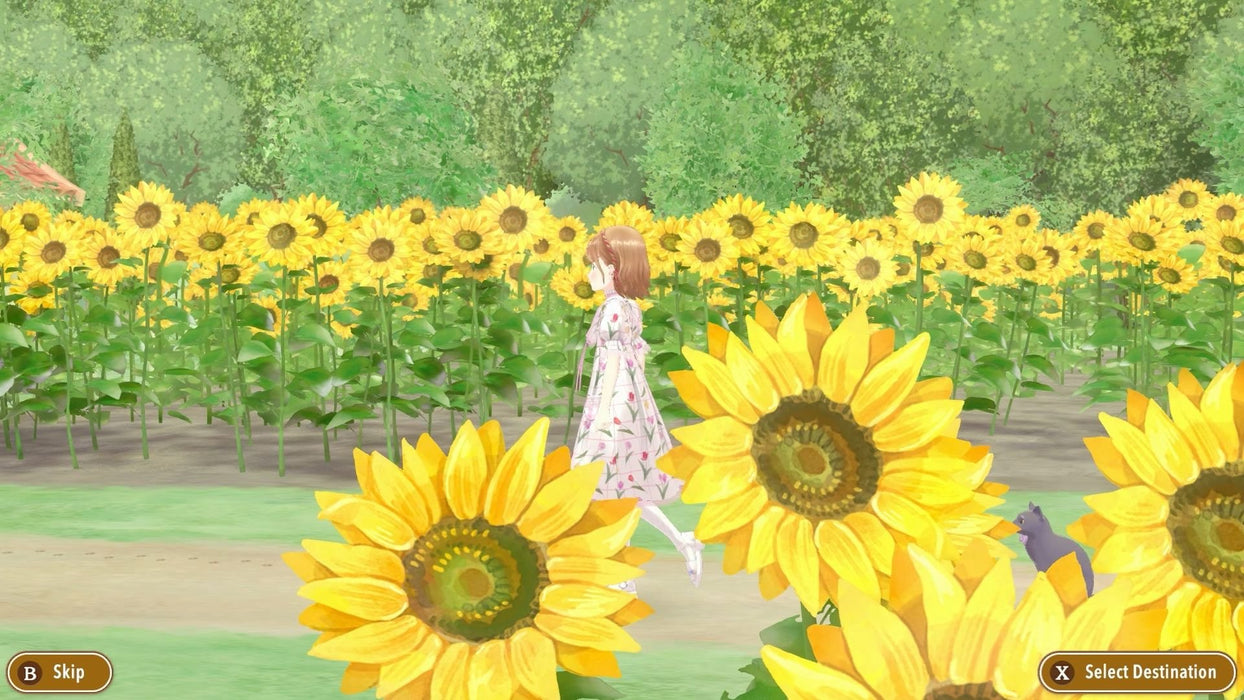 EAN 5056635625502 - Imagineer Magical Craft: My Enchanted Dress Shop Estándar Nintendo Switch imagen 4