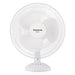 EAN 8414234446817 - Taurus GRECO 16 Blanco imagen 1