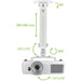 EAN 8057685309654 - Techly ICA-PM 18S montaje para projector Techo Plata imagen 5