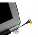 EAN 8435597496295 - Portatilmovil PAN0131 refacción para laptop Mostrar imagen 4