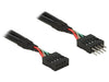 EAN 4043619838721 - DeLOCK 0.1m 2xUSB2.0 10p imagen 1