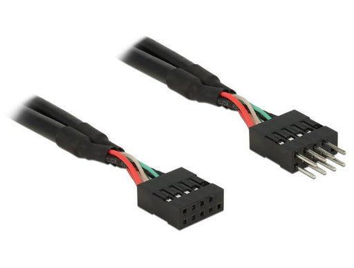 EAN 4043619838721 - DeLOCK 0.1m 2xUSB2.0 10p imagen 1