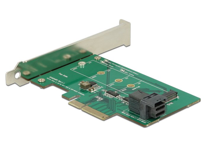 EAN 4043619895175 - DeLOCK 89517 tarjeta y adaptador de interfaz Interno M.2 imagen 1