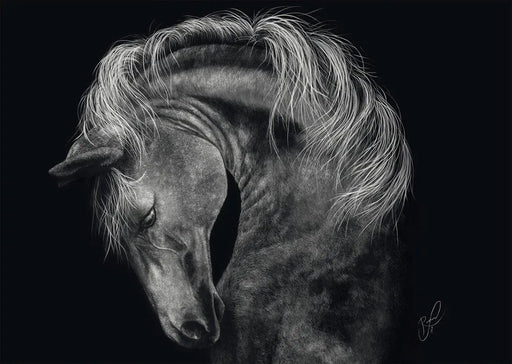 EAN 4001504585433 - Schmidt Spiele 58543 puzzle Puzzle rompecabezas 1000 pieza(s) Otro imagen 2