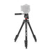 EAN 8024221717921 - Joby JB01763-BWW tripode Smartphone/Cámara digital 3 pata(s) Negro imagen 3