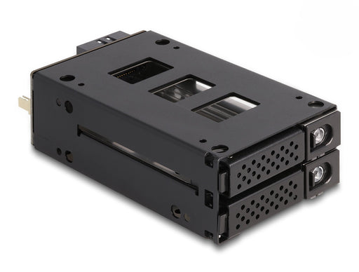EAN 4043619470198 - DeLOCK 47019 panel bahía disco duro 2x 2,5" Bandeja para disco duro Negro imagen 1