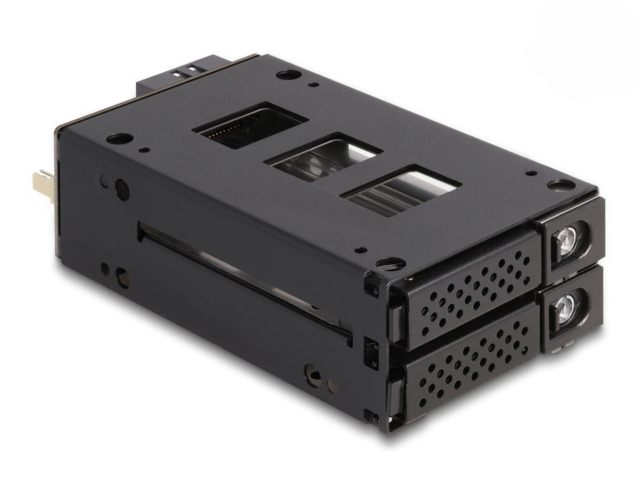 EAN 4043619470198 - DeLOCK 47019 panel bahía disco duro 2x 2,5" Bandeja para disco duro Negro imagen 1