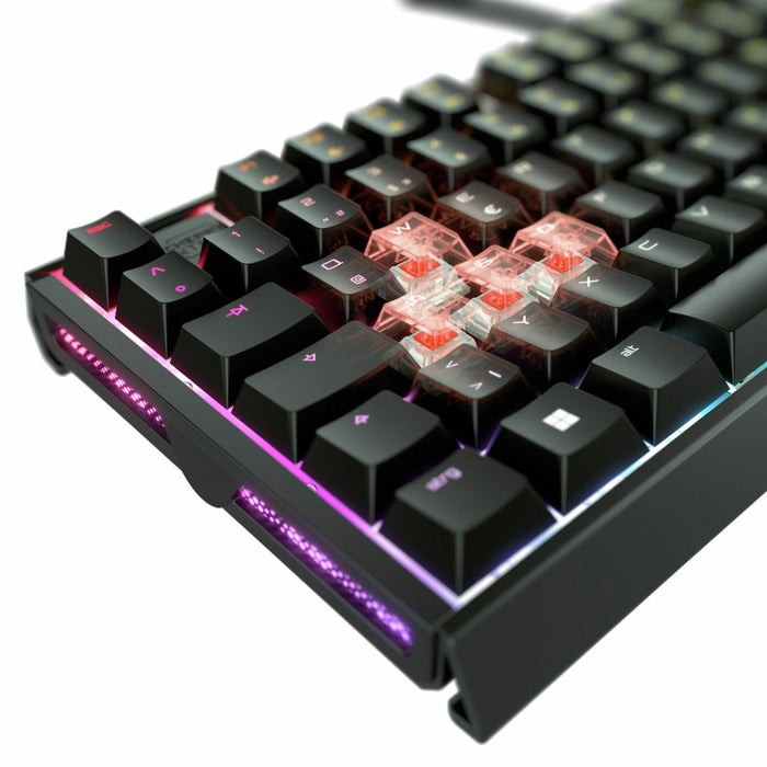 EAN 4025112113666 - CHERRY XTRFY MX 3.1 teclado Juego USB QWERTY Inglés Negro imagen 4