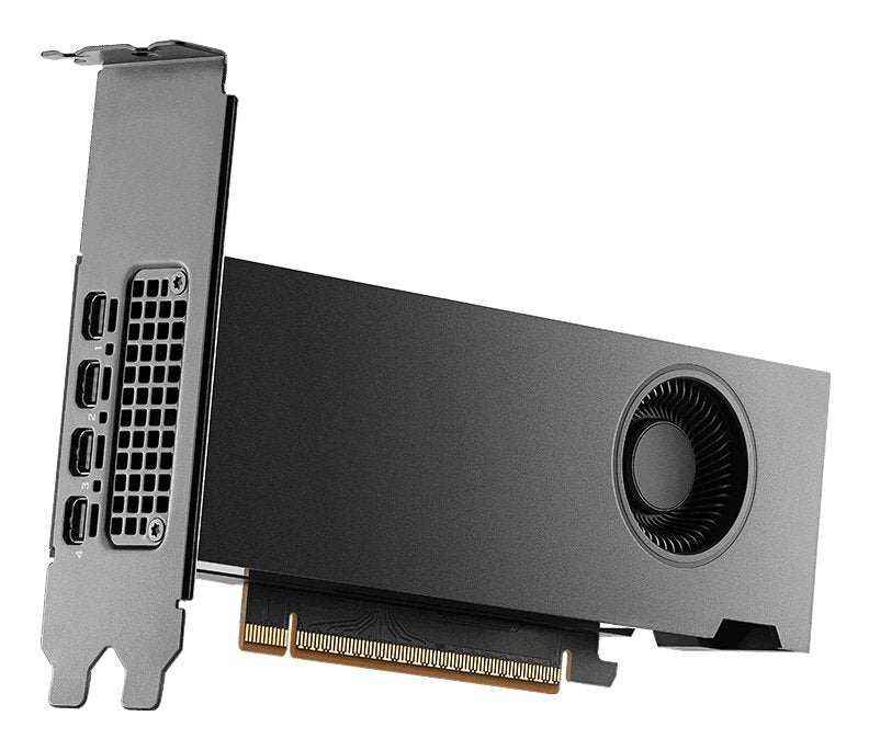 EAN 3536403404147 - PNY RTX PRO 2000 Blackwell NVIDIA 16 GB GDDR7 imagen 3