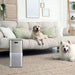 EAN 4023012283106 - Genius A28310 purificador de aire 100 m² Plata imagen 2