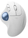 EAN 5099206111615 - Logitech 910-007030 ratón Oficina mano derecha Bluetooth Trackball 2000 DPI imagen 1