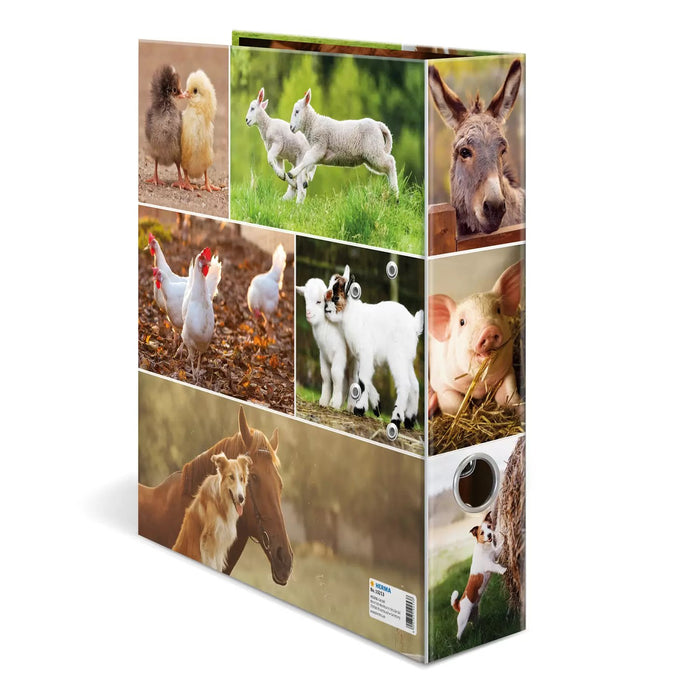 EAN 4008705192538 - HERMA 19253 carpeta de cartón A4 Multicolor imagen 4