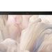 EAN 5397321000570 - DELL Pro 14 Premium PA14250 Copilot+ PC Intel Core Ultra 7 268V Portátil 35,6 cm (14") Pantalla táctil Qu imagen 10