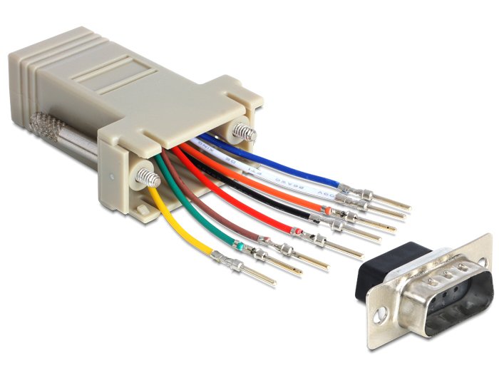 EAN 4043619654628 - DeLOCK 65462 cambiador de género para cable Sub-D 9 RJ45 Gris imagen 1