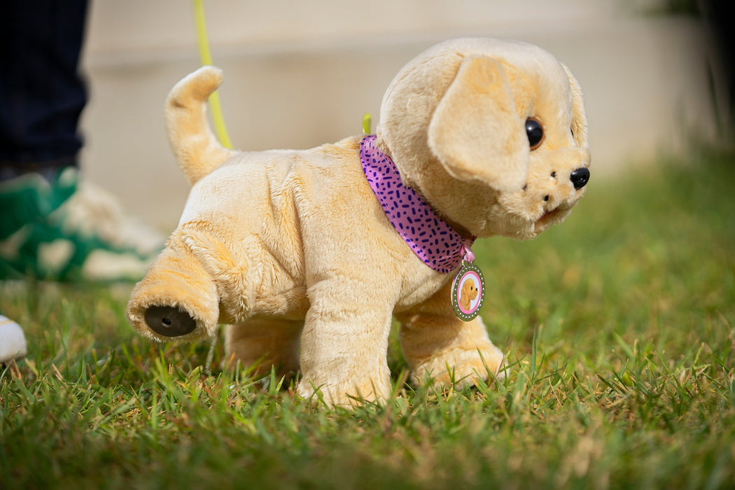 EAN 4001167842133 - BABY born My Dog Lucky with Box imagen 14