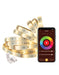 EAN 8426801164277 - Muvit MIOLST002 iluminación inteligente Tira de luz inteligente Wi-Fi 24 W imagen 2