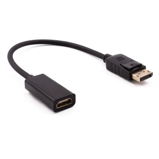 EAN 8436556146824 - Nilox ADATTATORE DP - DMI M/H 0,15 m DisplayPort imagen 1