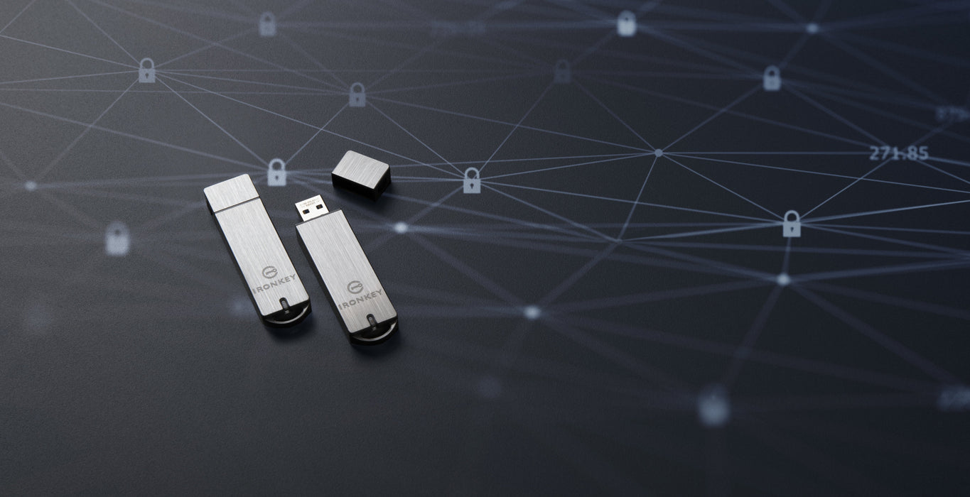 EAN 0740617255003 - Kingston Technology IronKey S1000 unidad flash USB USB tipo A 3.2 Gen 1 (3.1 Gen 1) Plata imagen 10