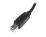 EAN 0065030845502 - StarTech.com 0.5m, USB 2.0 A/USB 2.0 B, M/M cable USB 0,5 m imagen 3
