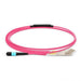 EAN 5704174870869 - Lanview LVO230501-MTP Cable de fibra óptica e InfiniBand 1 m Violeta imagen 1