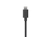 EAN 8720195100157 - Xtorm CXG2031 cable de conector Lightning 1 m Negro imagen 4