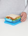 EAN 9414202316462 - Sistema 31646 recipiente de almacenar comida Plaza Contenedor 0,45 L Azul 1 pieza(s) imagen 3