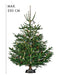 EAN 4011972942294 - Krinner Green Line Comfort Grip M imagen 4