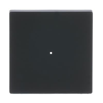 EAN 4011395203286 - Busch-Jaeger 6230-10-885 Negro imagen 1