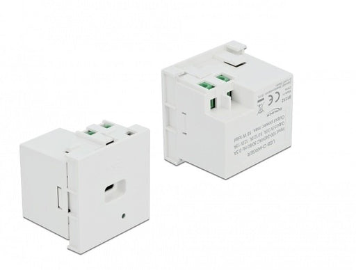 EAN 4043619813124 - DeLOCK 81312 toma de corriente USB C Blanco imagen 1