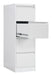 EAN 5032548012134 - Phoenix Safe Co. FC1004GGK archivador Acero Gris imagen 3