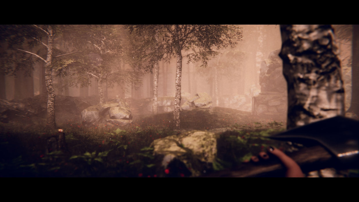 EAN 8424365733205 - Selecta Play Project Songbird (PlayStation 5) Estándar imagen 9