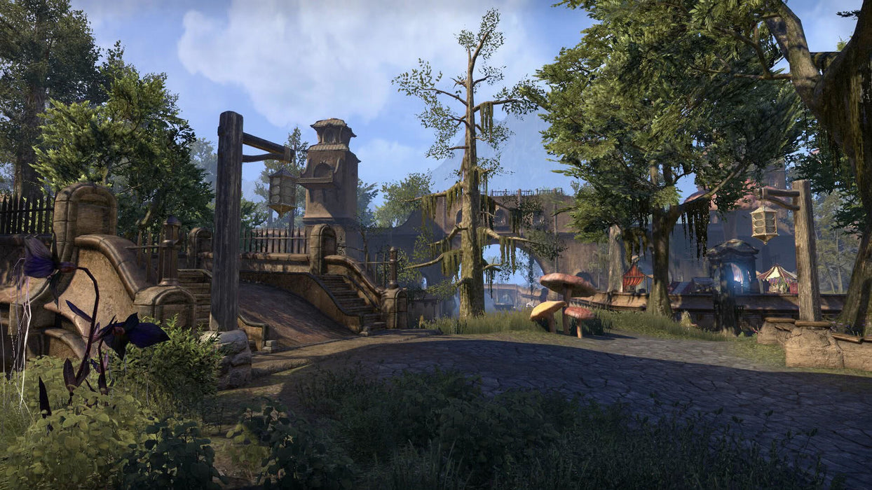 EAN 5055856414049 - Bethesda The Elder Scrolls Online : Morrowind Estándar Alemán, Inglés, Francés PlayStation 4 imagen 3