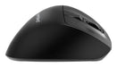 EAN 8716309136914 - Gembird MUSW3-9B-01 ratón Oficina mano derecha RF Wireless + Bluetooth + USB Type-A Óptico 2400 DPI imagen 7