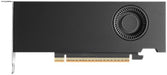 EAN 0810152850251 - Nvidia RTX PRO 2000 Blackwell 16 GB GDDR7 imagen 1