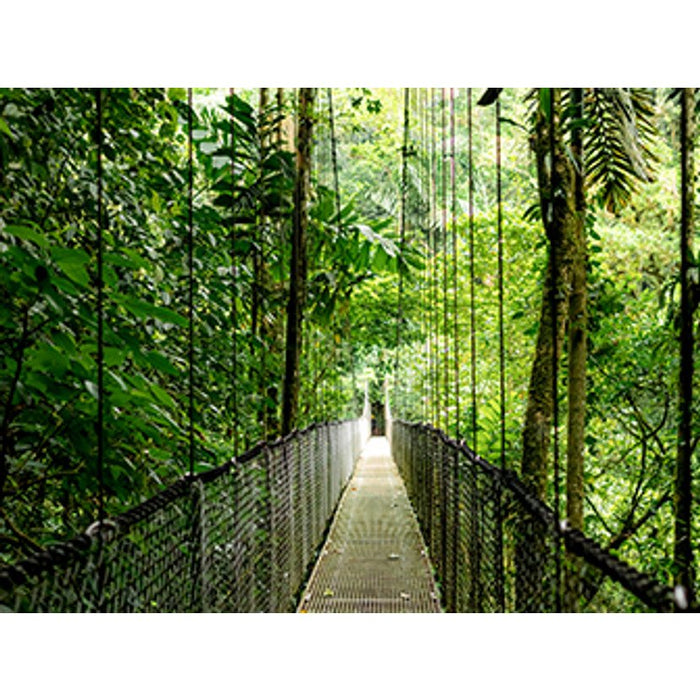 EAN 0199764324627 - HP EliteBook 6 G1a 14 inch Notebook AI PC Wolf Pro Security Edition AMD Ryzen AI 7 250 Portátil 35,6 cm ( imagen 12