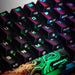 EAN 0196188048948 - HyperX Alloy Origins 60 - Mechanical Gaming Keyboard - HX Red (US Layout) (HKBO1S-RB-US/G) teclado Juego  imagen 13