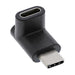 EAN 4043718278398 - InLine 35807 cambiador de género para cable USB Typ C Negro imagen 1