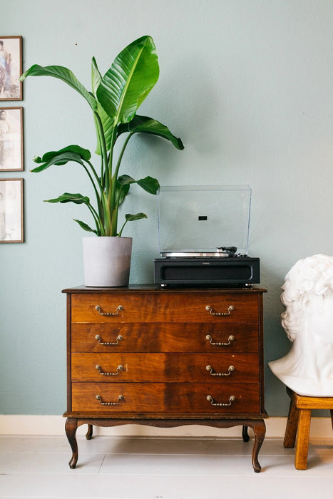 EAN 8711902069621 - Lenco LS-430BK tocadisco Tocadiscos de tracción por correa Negro imagen 24