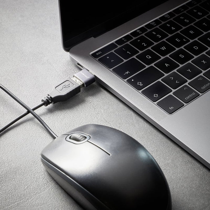 EAN 4034303038152 - Intenso 7600913 cambiador de género para cable Gris imagen 20