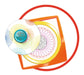 EAN 4005556297740 - Ravensburger 29774 juguete de arte y manualidades imagen 5